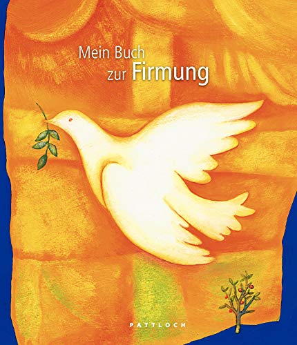 Mein Buch zur Firmung