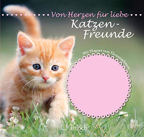 Für echte Katzenfreunde - Christine Rechl