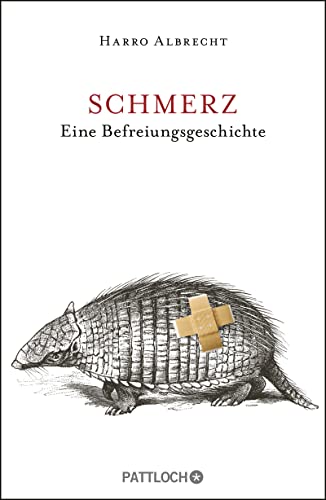 Schmerz - eine Befreiungsgeschichte - - Albrecht, Harro -