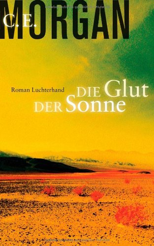 Stock image for Die Glut der Sonne: Roman for sale by medimops
