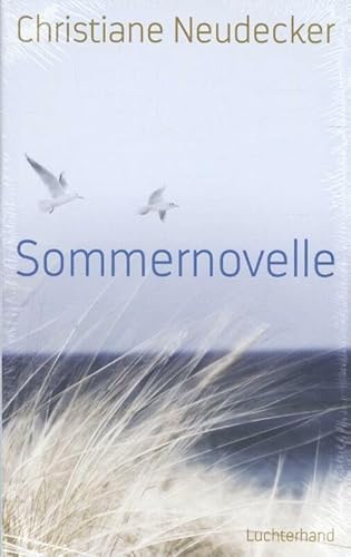 9783630874593: Sommernovelle