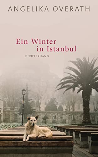 Beispielbild fr Ein Winter in Istanbul: Roman zum Verkauf von medimops