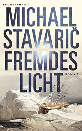 Stock image for Fremdes Licht: Roman for sale by medimops