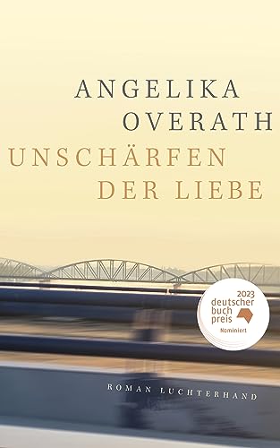 Stock image for Unschrfen der Liebe: Roman for sale by medimops