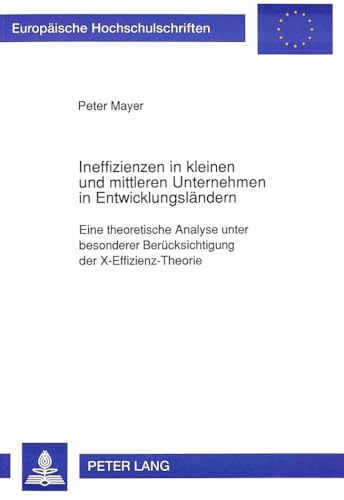 Ineffizienzen in kleinen und mittleren Unternehmen in Entwicklungsländern. Eine theoretische Anal...