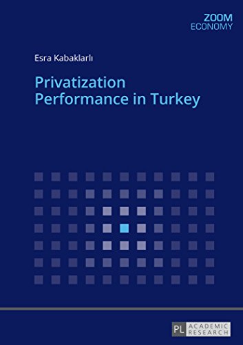 Beispielbild fr Privatization Performance in Turkey. zum Verkauf von Fundus-Online GbR Borkert Schwarz Zerfa