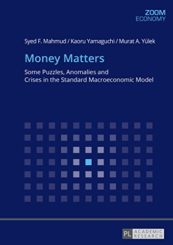 Imagen de archivo de Money Matters: Some Puzzles, Anomalies and Crises in the Standard Macroeconomic Model a la venta por suffolkbooks