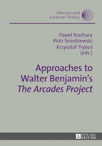 Beispielbild fr Approaches to Walter Benjamin's The Arcades Project zum Verkauf von Ria Christie Collections