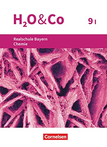 Stock image for H2O & Co 9. Schuljahr - Wahlpflichtfchergruppe I - Realschule Bayern - Schlerbuch for sale by Revaluation Books