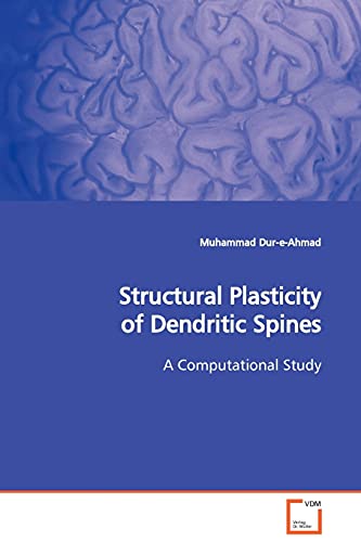 Beispielbild fr Structural Plasticity of Dendritic Spines: A Computational Study zum Verkauf von Ria Christie Collections