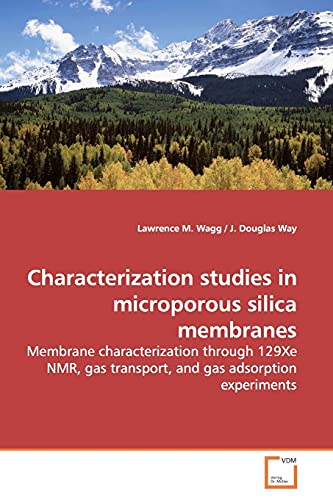 9783639169881: Characterization Studies in Microporous Silica Membranes