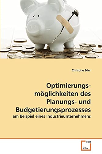 Stock image for Optimierungs- moglichkeiten des Planungs- und Budgetierungsprozesses for sale by Chiron Media