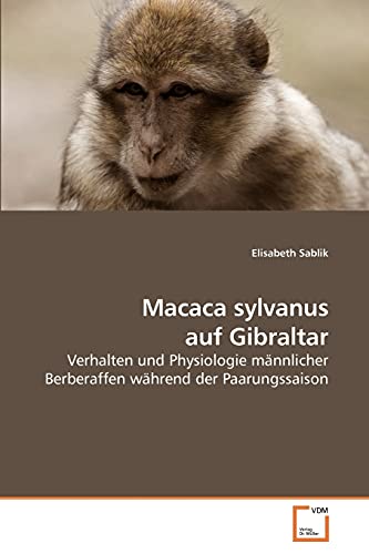 Stock image for Macaca sylvanus auf Gibraltar for sale by Ria Christie Collections