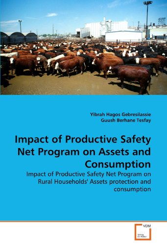 Impact of Productive Safety Net Program on Assets and Consumption - Gebresilassie, Yibrah Hagos / Berhane Tesfay, Guush