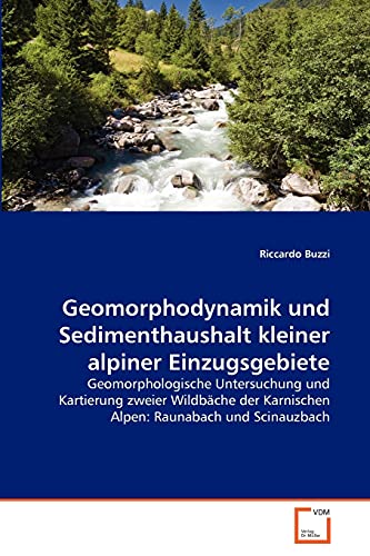 Stock image for Geomorphodynamik und Sedimenthaushalt kleiner alpiner Einzugsgebiete for sale by Ria Christie Collections