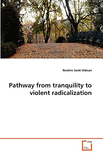 9783639373882: Pathway from tranquility to violent radicalization