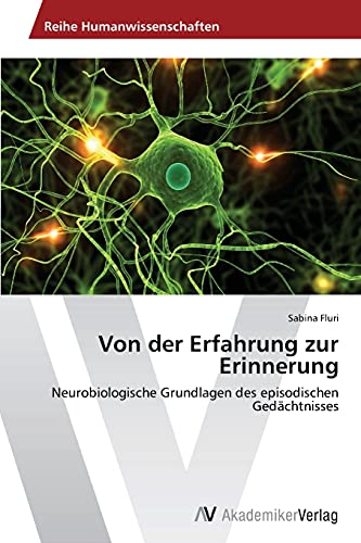 9783639389265: Von der Erfahrung zur Erinnerung: Neurobiologische Grundlagen des episodischen Gedchtnisses