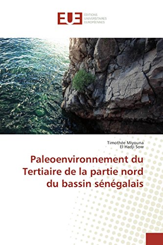 9783639540819: Paleoenvironnement du Tertiaire de la partie nord du bassin sngalais