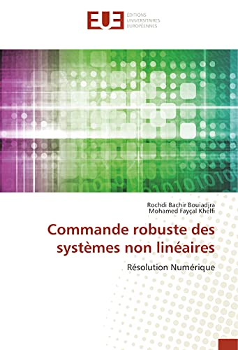 Beispielbild fr Commande robuste des systmes non linaires: Rsolution Numrique zum Verkauf von Revaluation Books