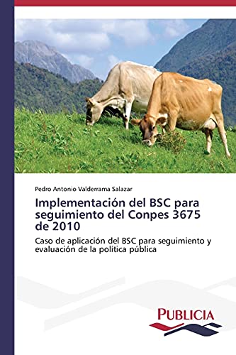 Imagen de archivo de Implementacin del BSC para seguimiento del Conpes 3675 de 2010: Caso de aplicacin del BSC para seguimiento y evaluacin de la poltica pblica (Spanish Edition) a la venta por Lucky's Textbooks