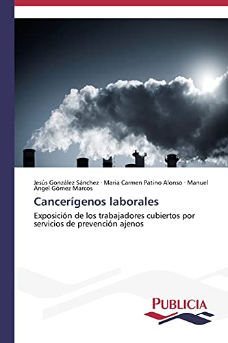 Imagen de archivo de Cancergenos laborales: Exposicin de los trabajadores cubiertos por servicios de prevencin ajenos (Spanish Edition) a la venta por Lucky's Textbooks