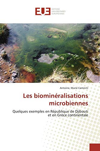 9783639651768: Les biominralisations microbiennes: Quelques exemples en Rpublique de Djibouti et en Grce continentale (OMN.UNIV.EUROP.)
