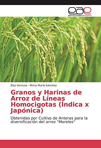 9783639688788: Granos y Harinas de Arroz de Lneas Homocigotas (ndica x Japnica): Obtenidas por Cultivo de Anteras para la diversificacin del arroz "Morelos"