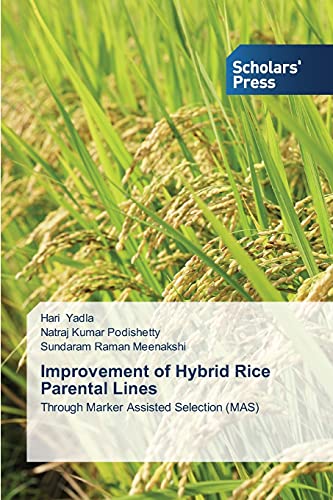 Imagen de archivo de Improvement of Hybrid Rice Parental Lines: Through Marker Assisted Selection (MAS) a la venta por Lucky's Textbooks