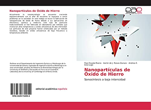 Stock image for Nanopartculas de xido de Hierro: Sonosntesis a baja intensidad for sale by Revaluation Books