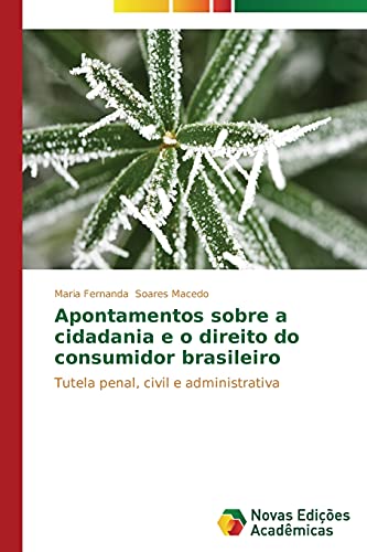 9783639750935: Apontamentos sobre a cidadania e o direito do consumidor brasileiro
