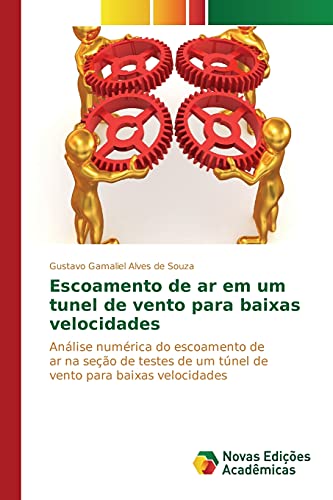 Stock image for Escoamento de ar em um tunel de vento para baixas velocidades (Portuguese Edition) for sale by Lucky's Textbooks