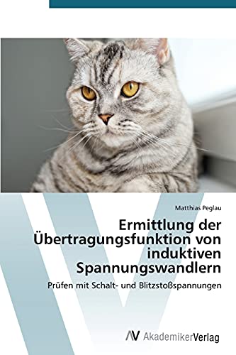 Beispielbild fr Ermittlung der Ubertragungsfunktion von induktiven Spannungswandlern zum Verkauf von Chiron Media