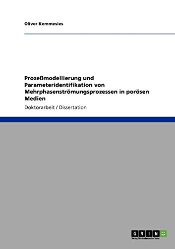 9783640368716: Prozemodellierung und Parameteridentifikation von Mehrphasenstrmungsprozessen in porsen Medien