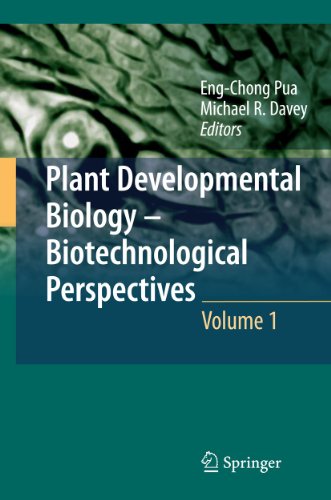 Stock image for Plant Developmental Biology - Biotechnological Perspectives Volume 1 for sale by Buchpark