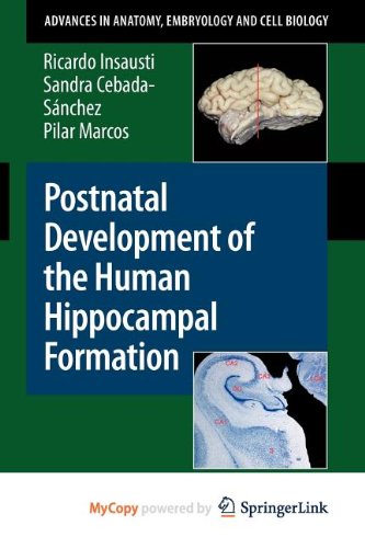 9783642048043: Postnatal Development of the Human Hippocampal Formation