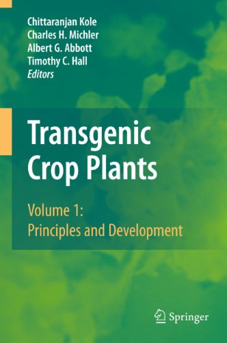 9783642048081: Transgenic Crop Plants: Volume 1: Principles and Development