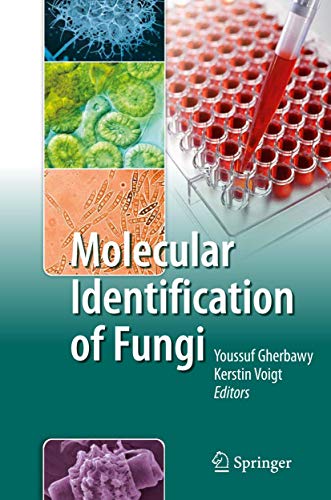 9783642050411: Molecular Identification of Fungi