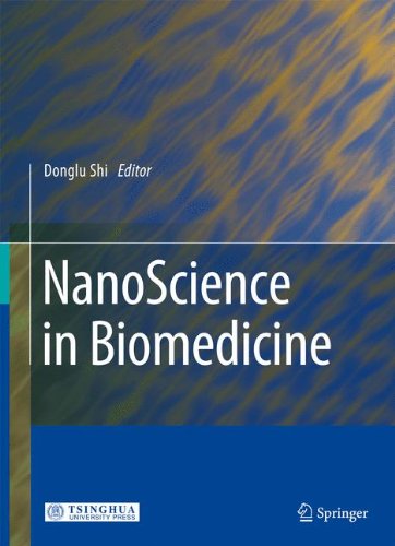 9783642080586: NanoScience in Biomedicine