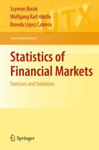 9783642111334: Statistics of Financial Markets: Exercises and Solutions (Universitext)