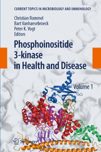 9783642136627: Phosphoinositide 3-kinase in Health and Disease: Volume 1 (Current Topics in Microbiology and Immunology, 346)