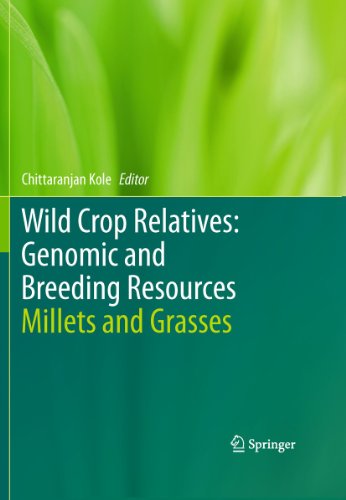 Beispielbild fr Wild Crop Relatives: Genomic and Breeding Resources Millets and Grasses zum Verkauf von Buchpark