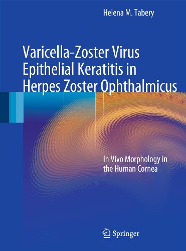 9783642144868: Varicella-Zoster Virus Epithelial Keratitis in Herpes Zoster Ophthalmicus: In Vivo Morphology in the Human Cornea