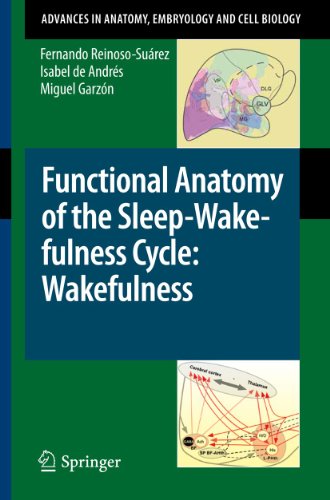 Functional Anatomy of the Sleep-Wake-fulness Cycle: Wakefulness (Advances in Anatomy, Embryology and Cell Biology) [Soft Cover ] - Reinoso-SuÃ¡rez, Fernando