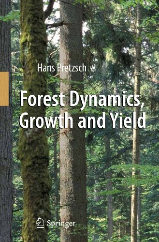 9783642148613: Forest Dynamics, Growth and Yield: From Measurement to Model