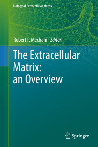 Imagen de archivo de The Extracellular Matrix: An Overview a la venta por Ria Christie Collections