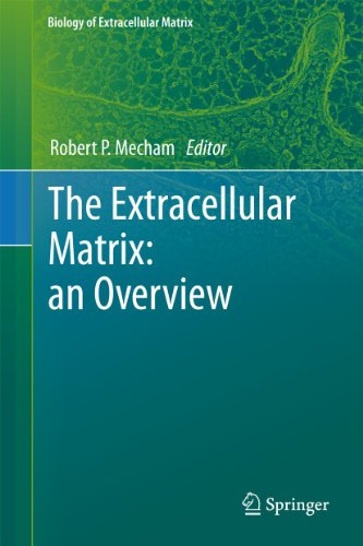 9783642165542: The Extracellular Matrix: an Overview (Biology of Extracellular Matrix)