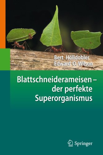 Beispielbild fr Blattschneiderameisen ? der perfekte Superorganismus zum Verkauf von Antiquarius / Antiquariat Hackelbusch