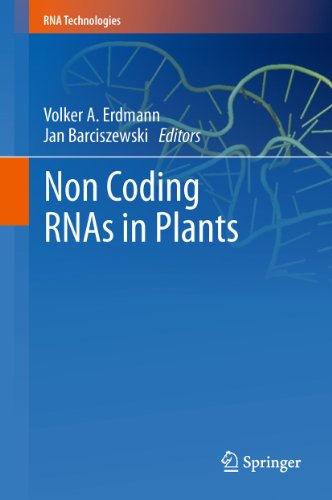 Stock image for Non Coding RNAs in Plants (RNA Technologies) for sale by Masalai Press