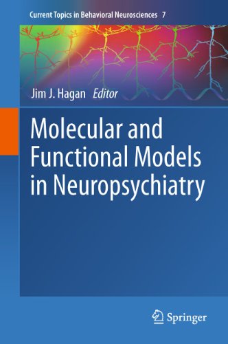 Stock image for Molecular and Functional Models in Neuropsychiatry. for sale by Gast & Hoyer GmbH