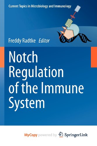 9783642242953: Notch Regulation of the Immune System